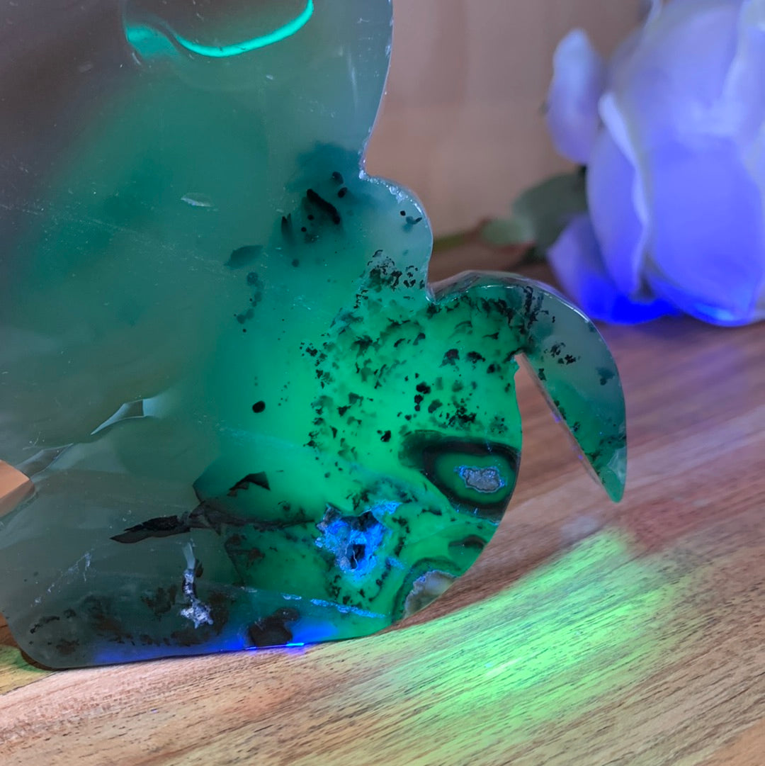 VOLCANO AGATE CATS (LARGE)