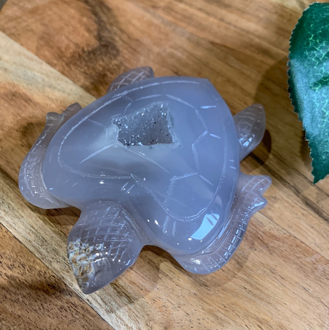 AGATE DRUUZY TURTLE