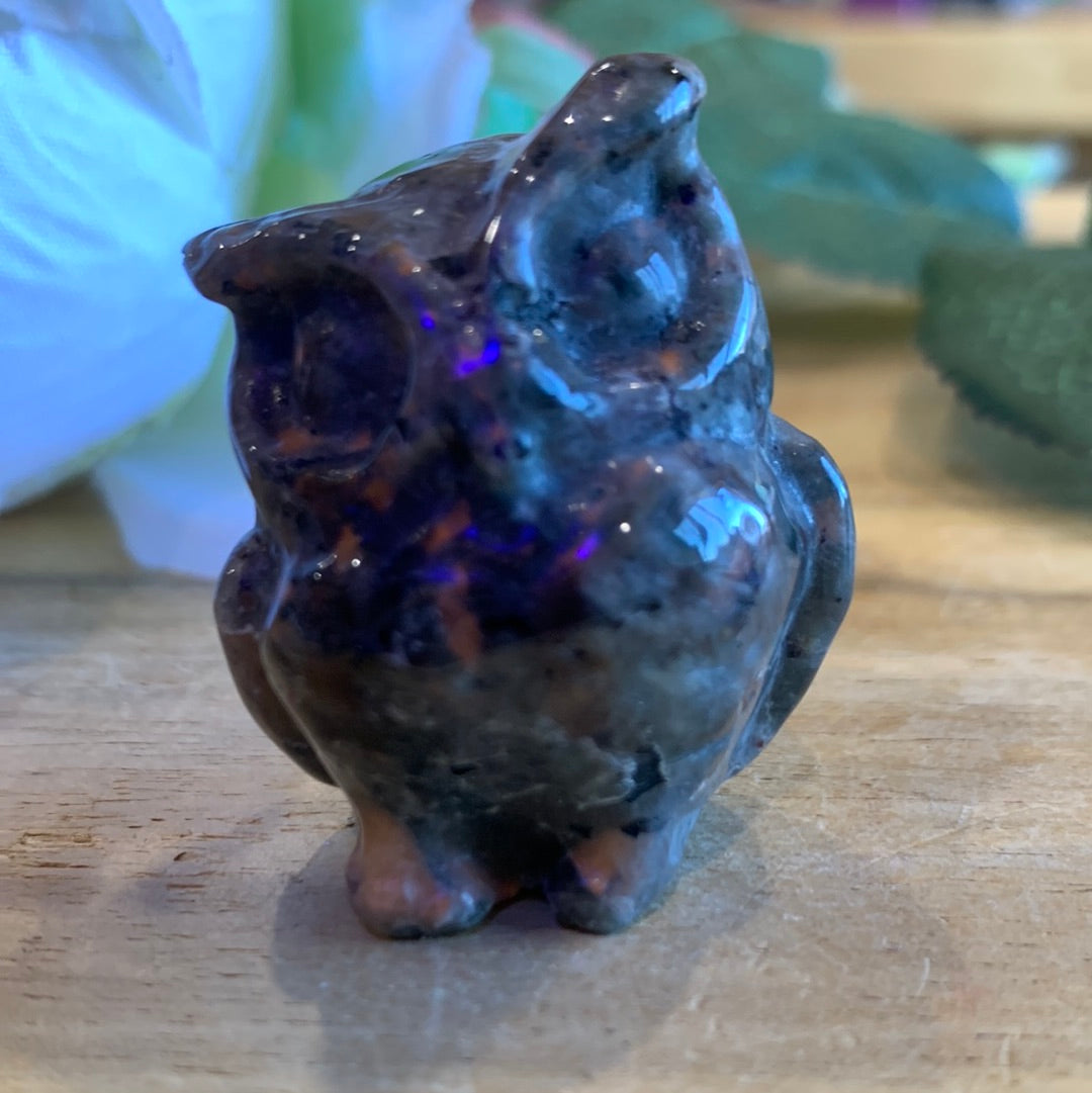 OWLS (SMALL)