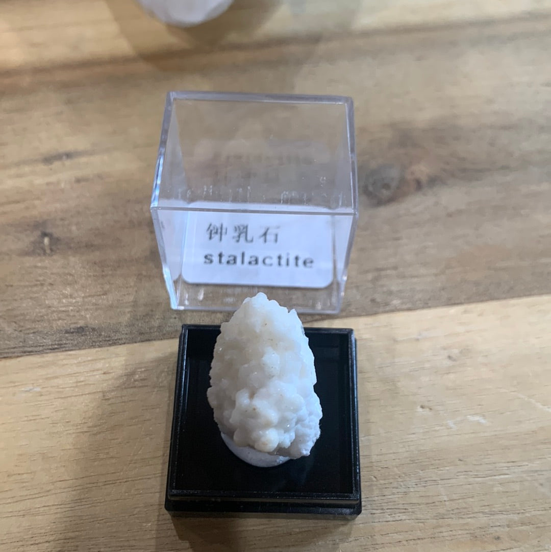 DISPLAY BOX SPECIMENS (SMALL)