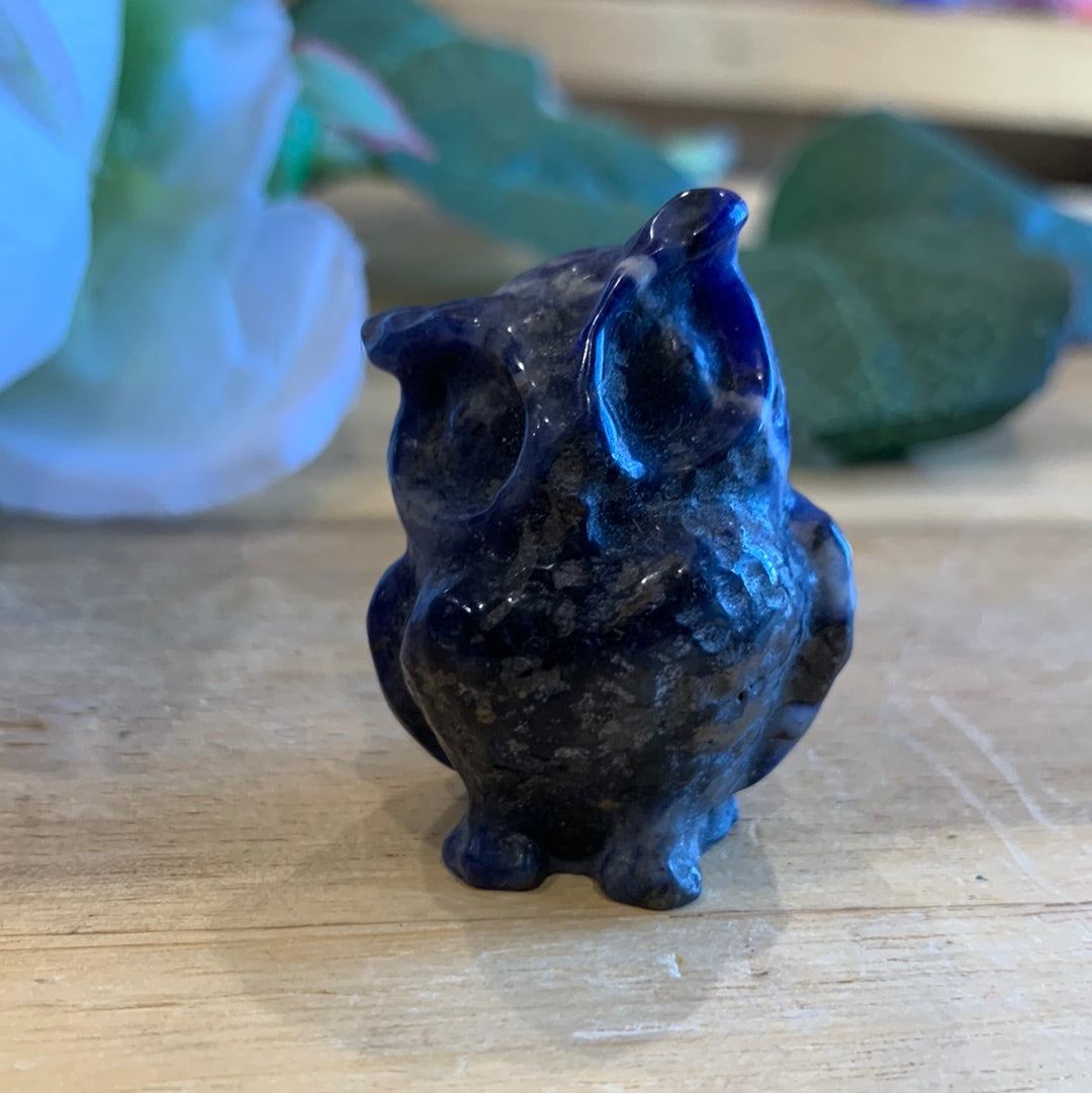OWLS (SMALL)