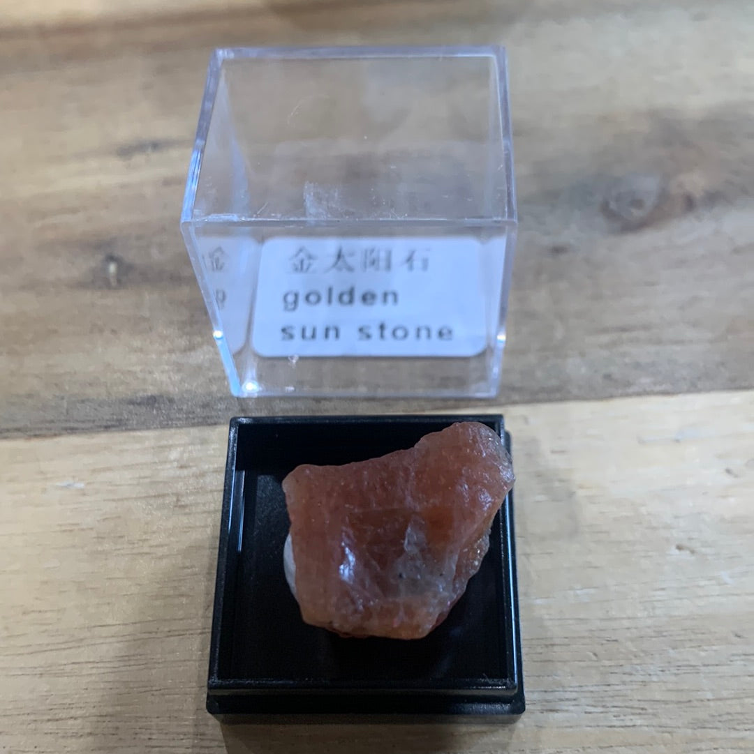 DISPLAY BOX SPECIMENS (SMALL)