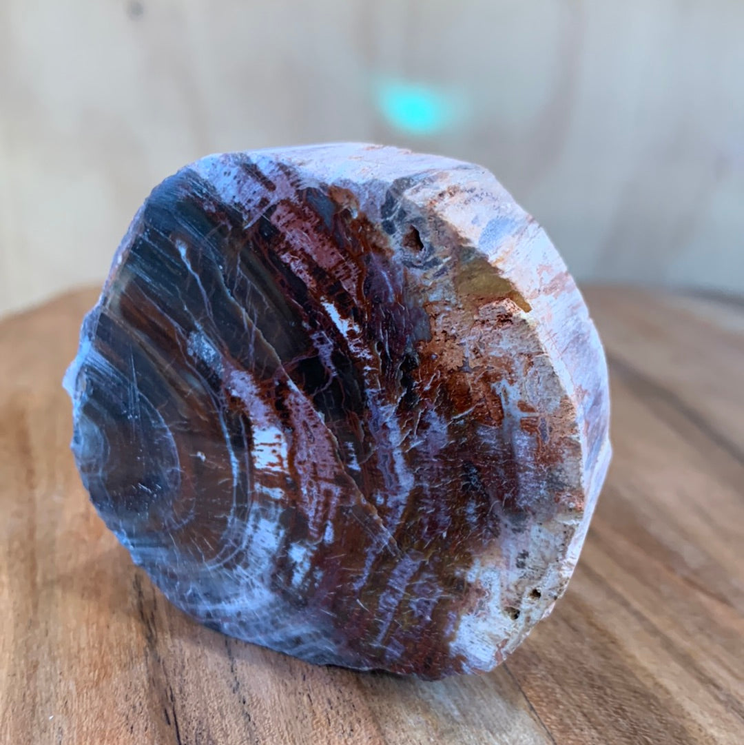 PETRIFIED WOOD RAW ROUND