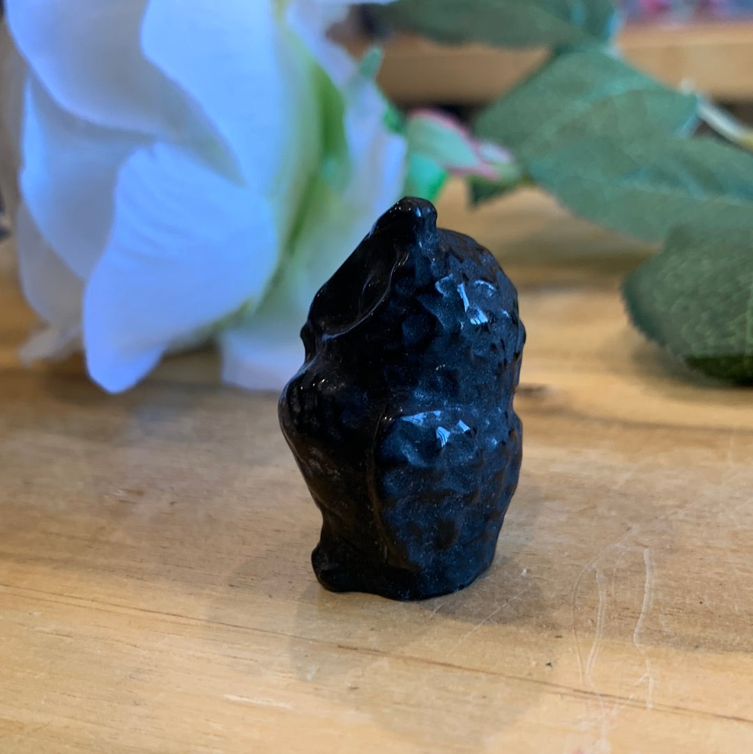 OWLS (SMALL)