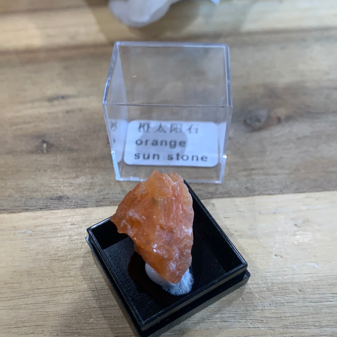 DISPLAY BOX SPECIMENS (SMALL)