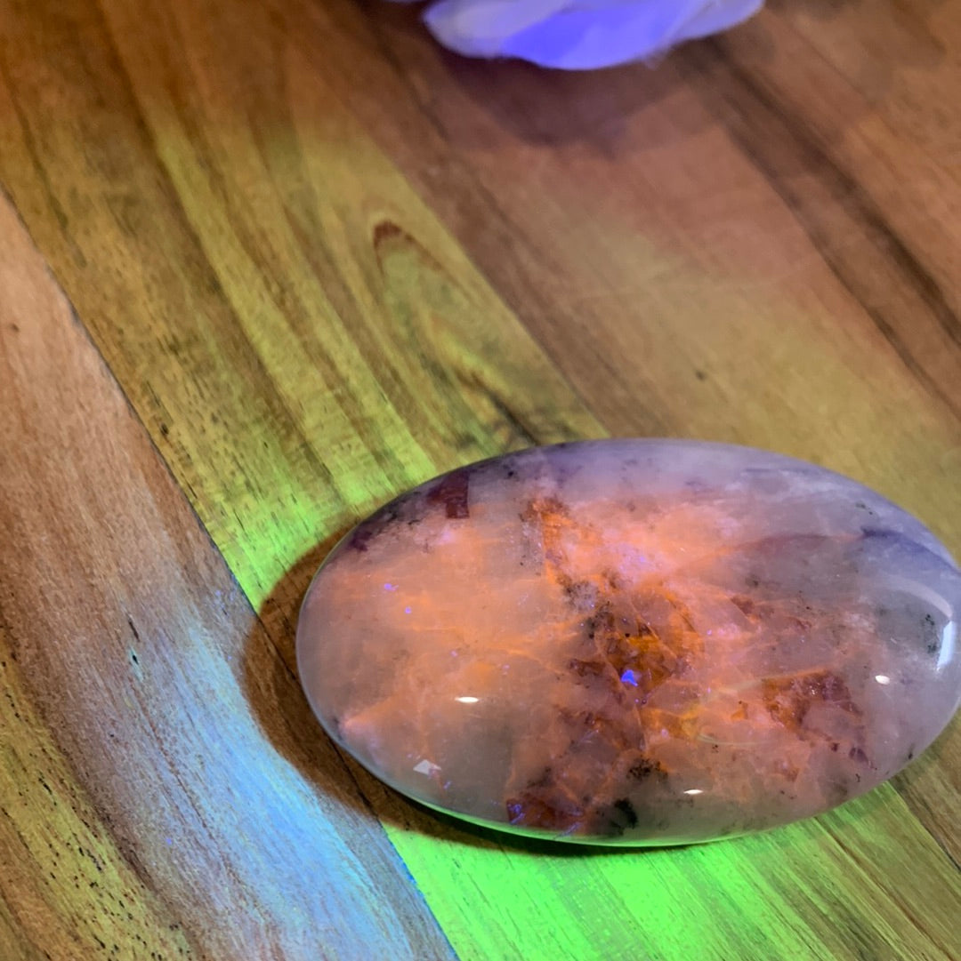 PALM STONES (MEDIUM & LARGE)