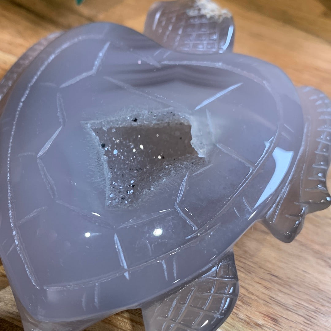 AGATE DRUUZY TURTLE