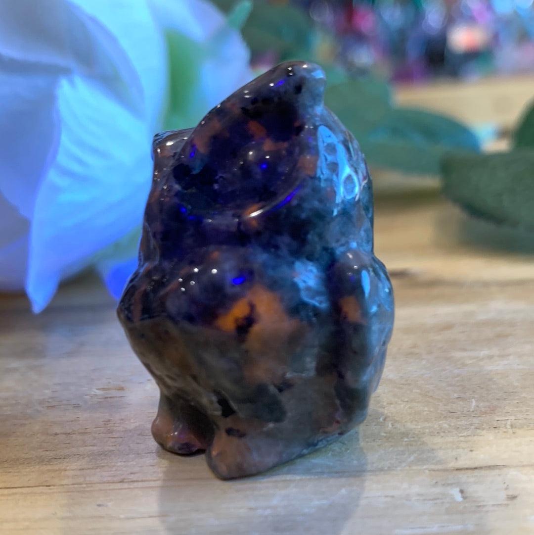 OWLS (SMALL)