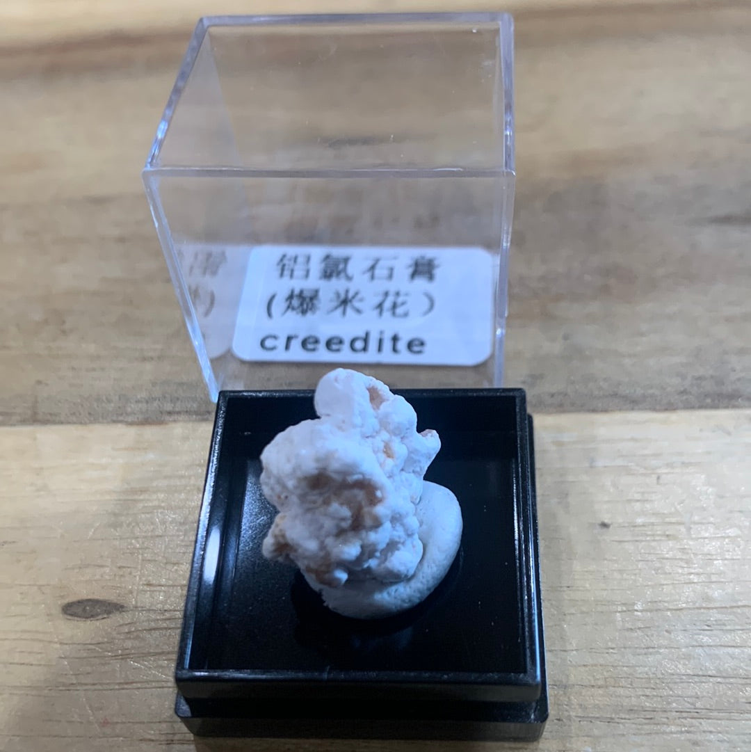 DISPLAY BOX SPECIMENS (SMALL)