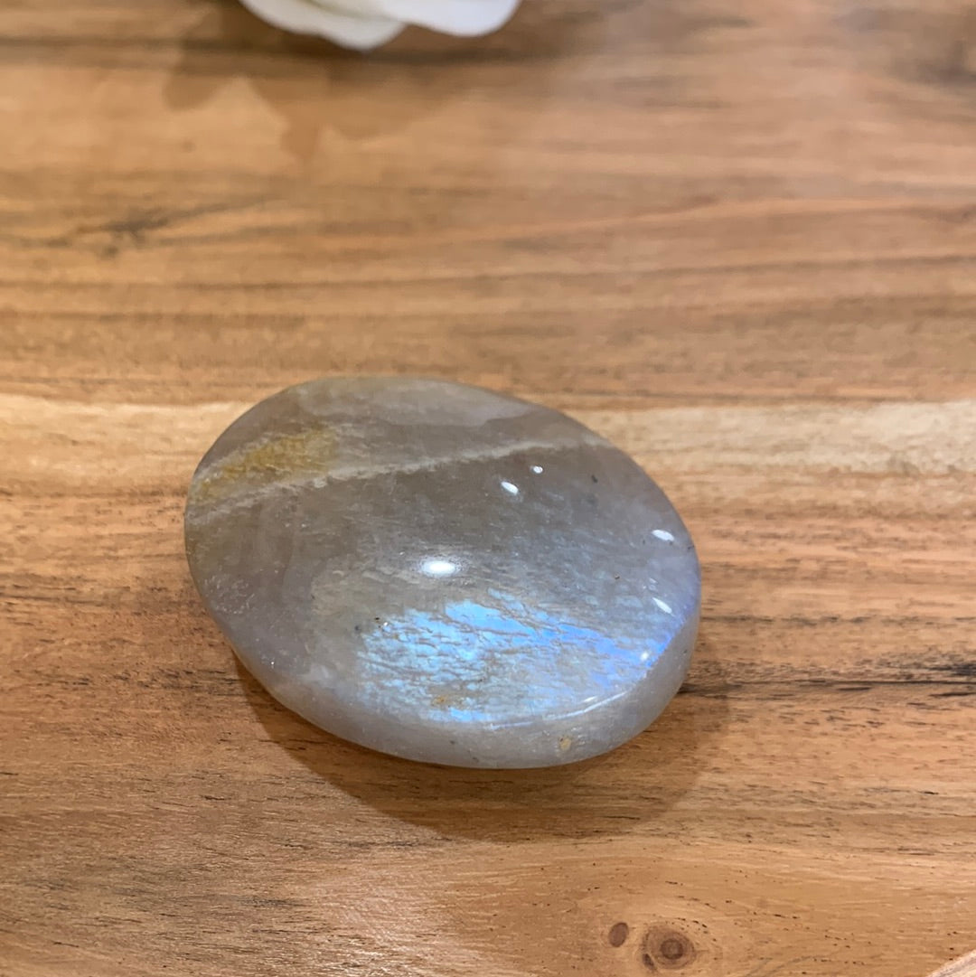 PALM STONES (MEDIUM)