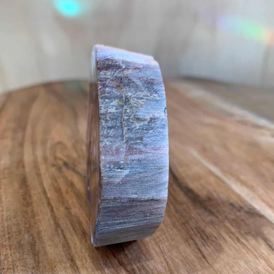 PETRIFIED WOOD RAW ROUND