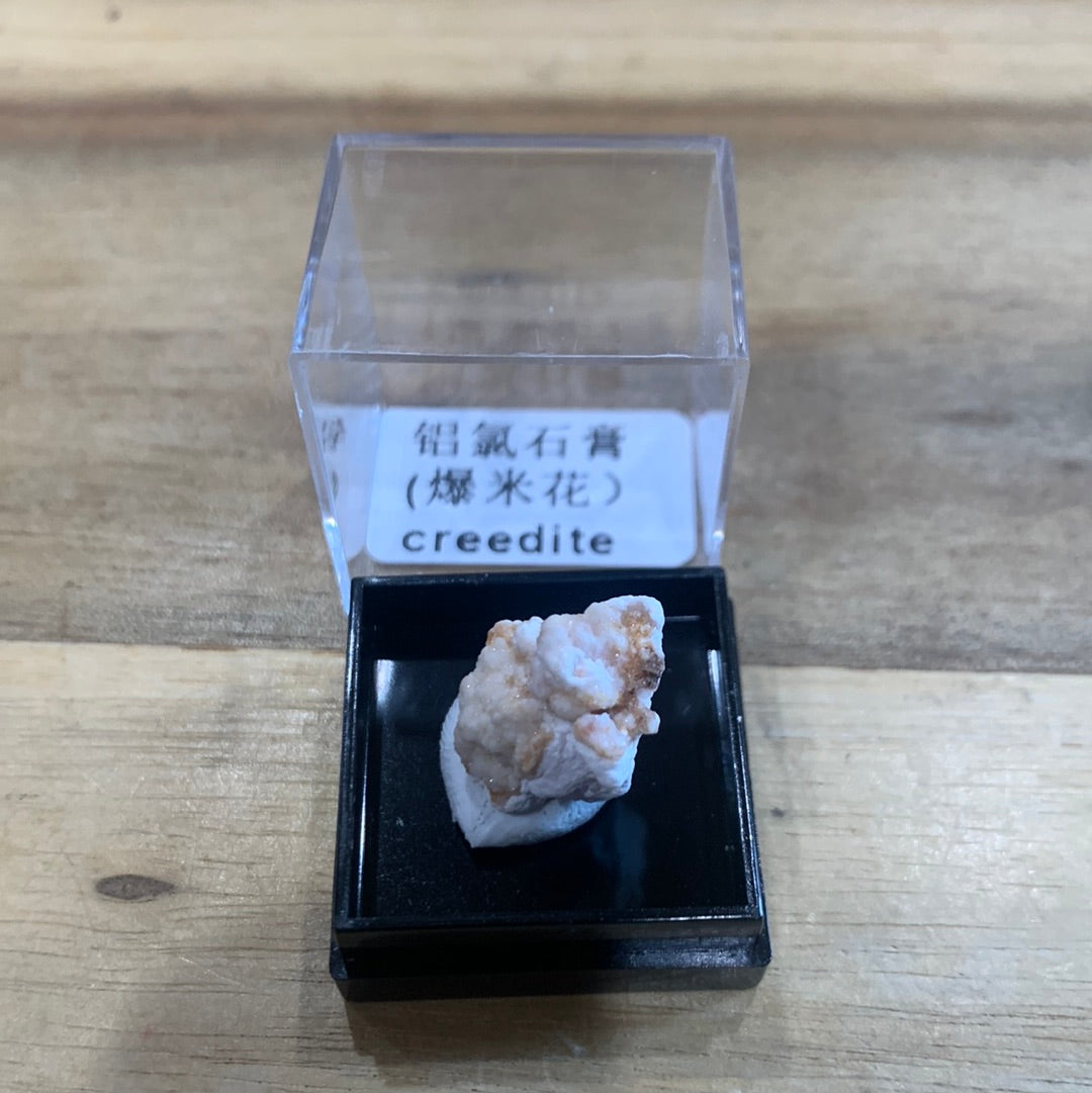DISPLAY BOX SPECIMENS (SMALL)