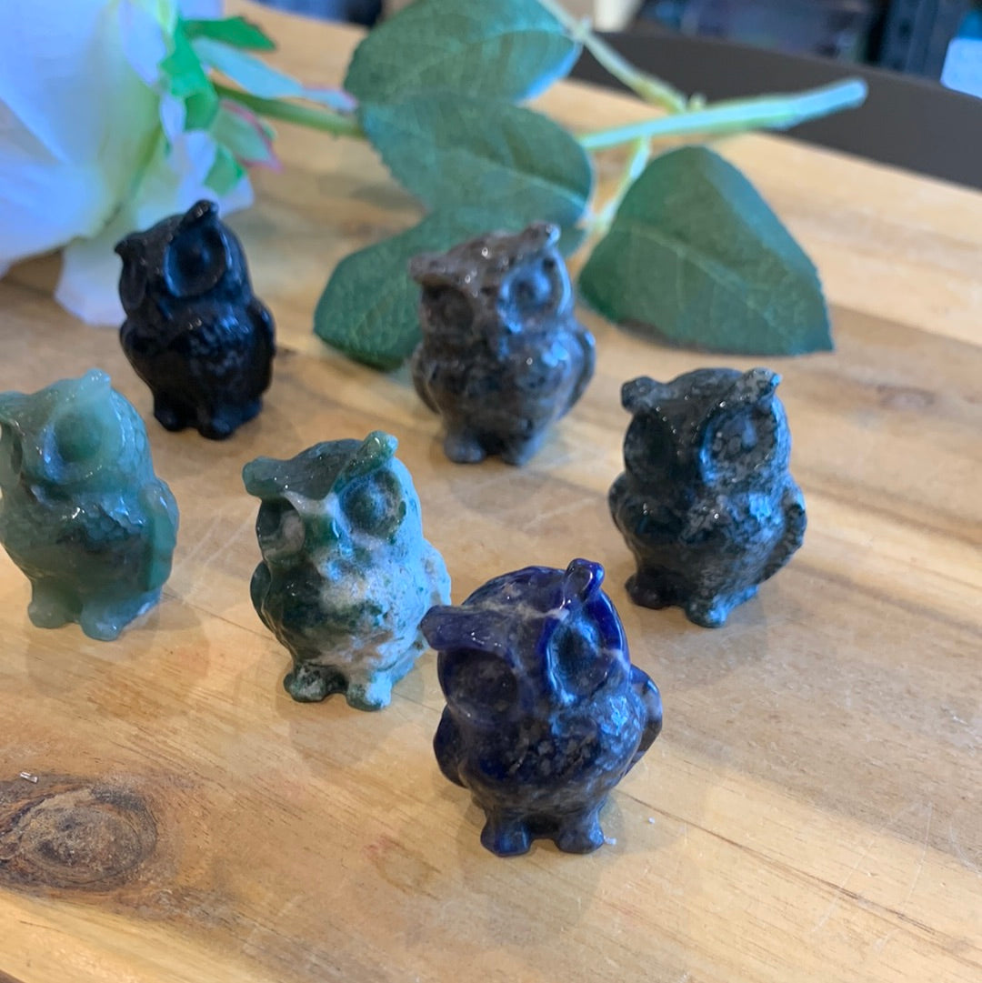 OWLS (SMALL)