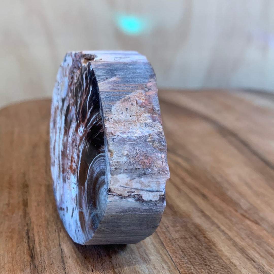 PETRIFIED WOOD RAW ROUND