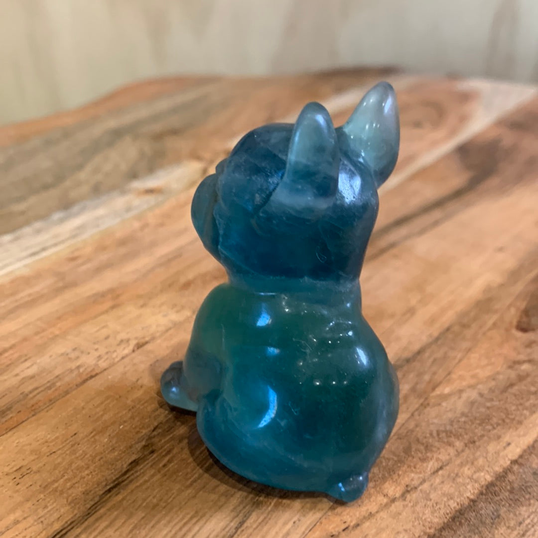 FLUORITE FRENCH DOGS