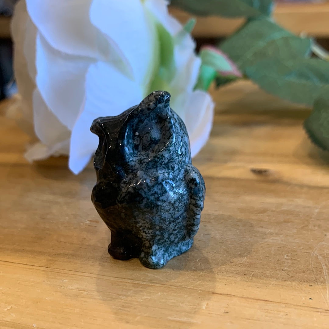 OWLS (SMALL)