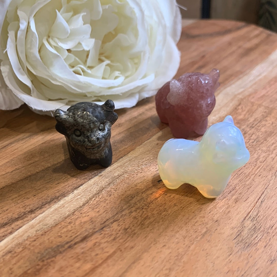 CRYSTAL HIGHLAND COWS