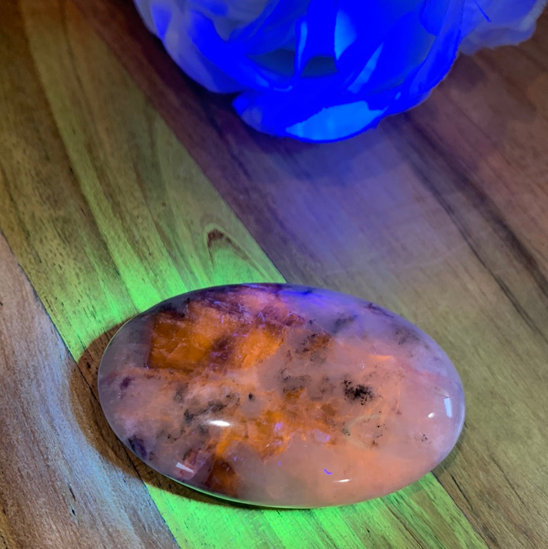 PALM STONES (MEDIUM & LARGE)