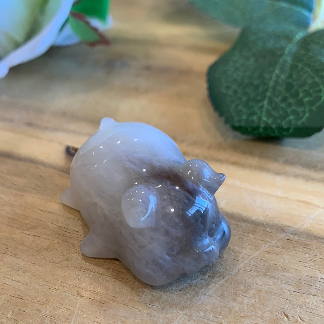 CRYSTAL PIGS