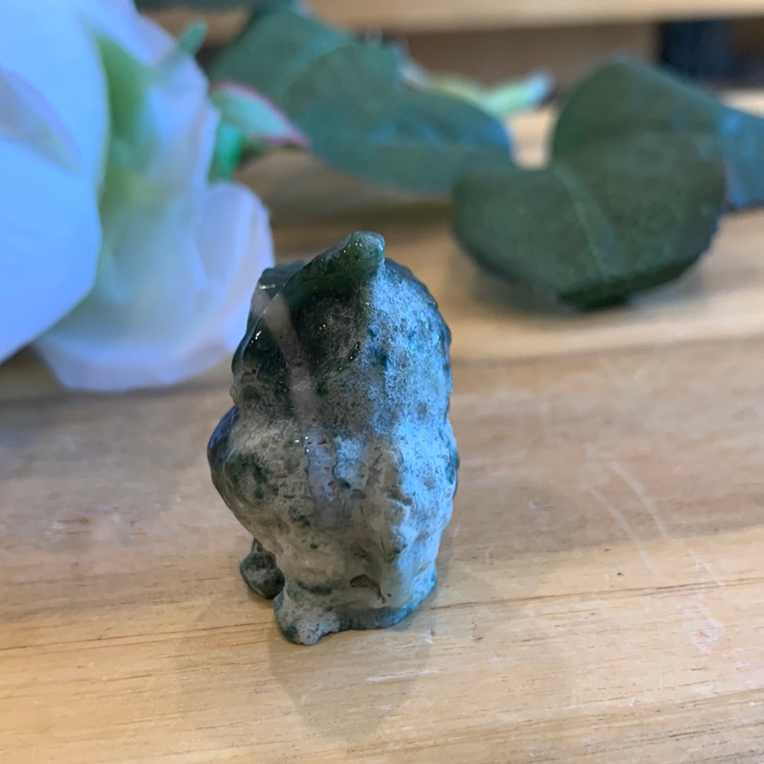 OWLS (SMALL)