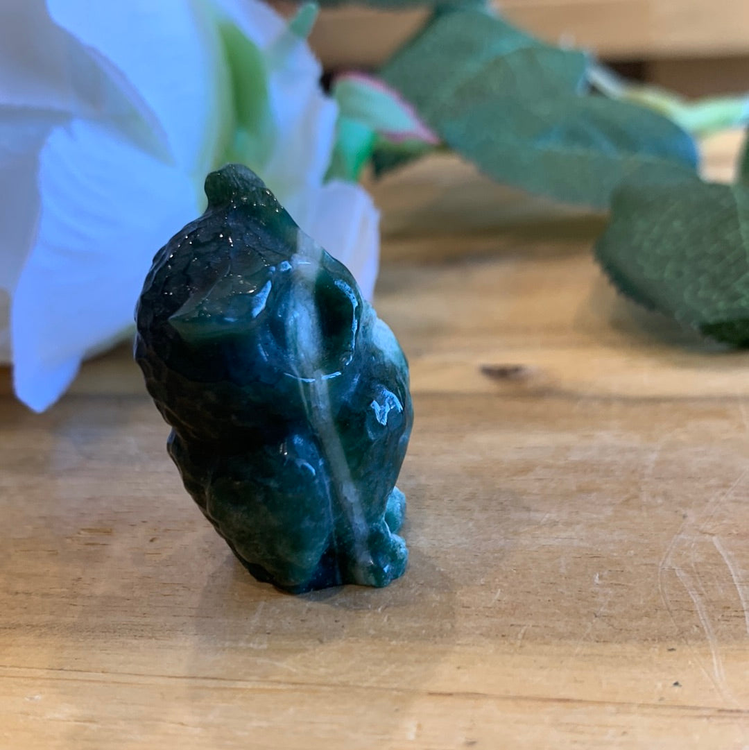 OWLS (SMALL)