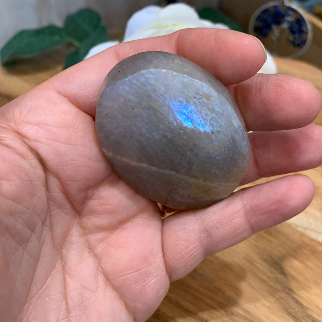 PALM STONES (MEDIUM)