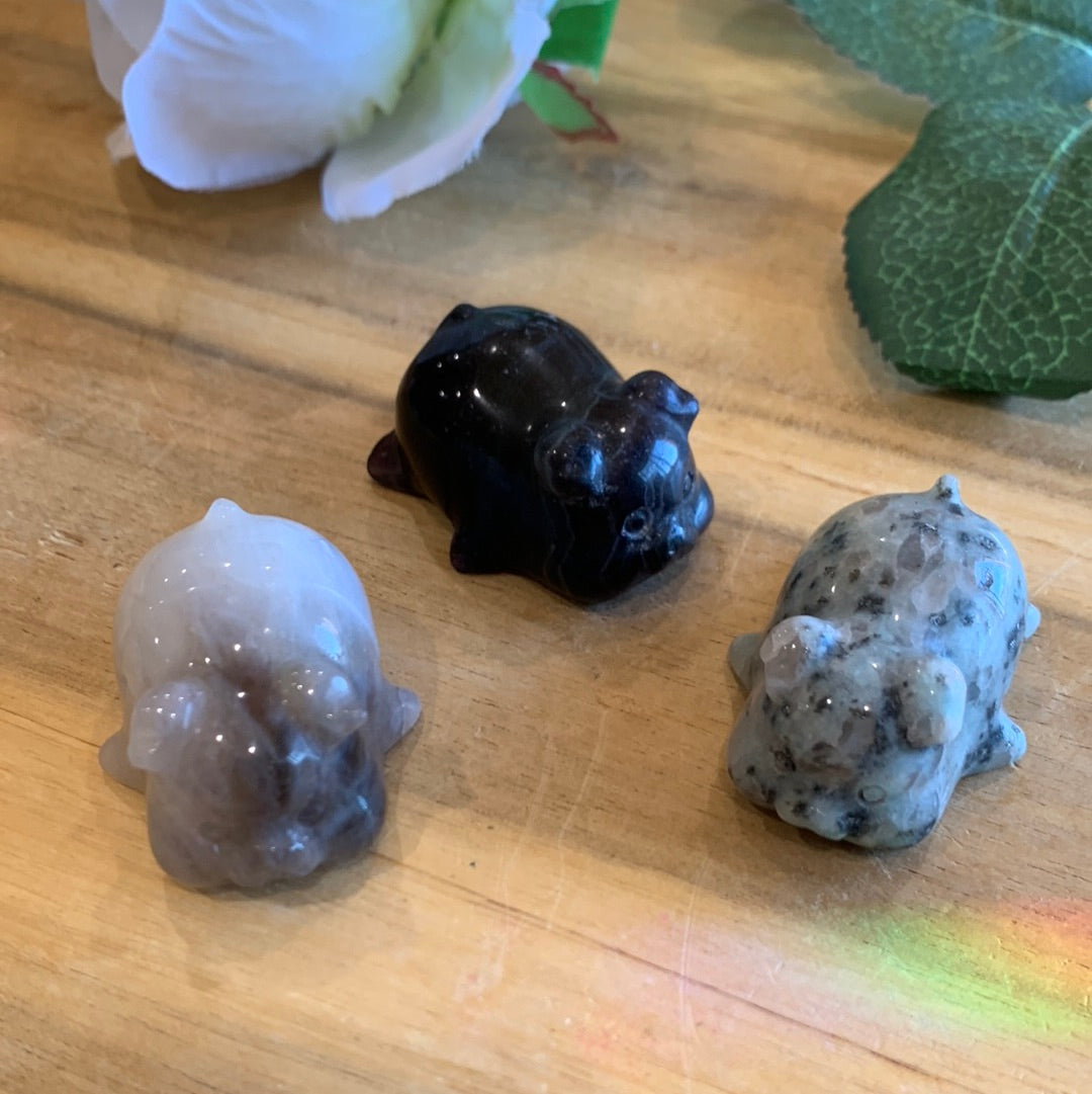 CRYSTAL PIGS