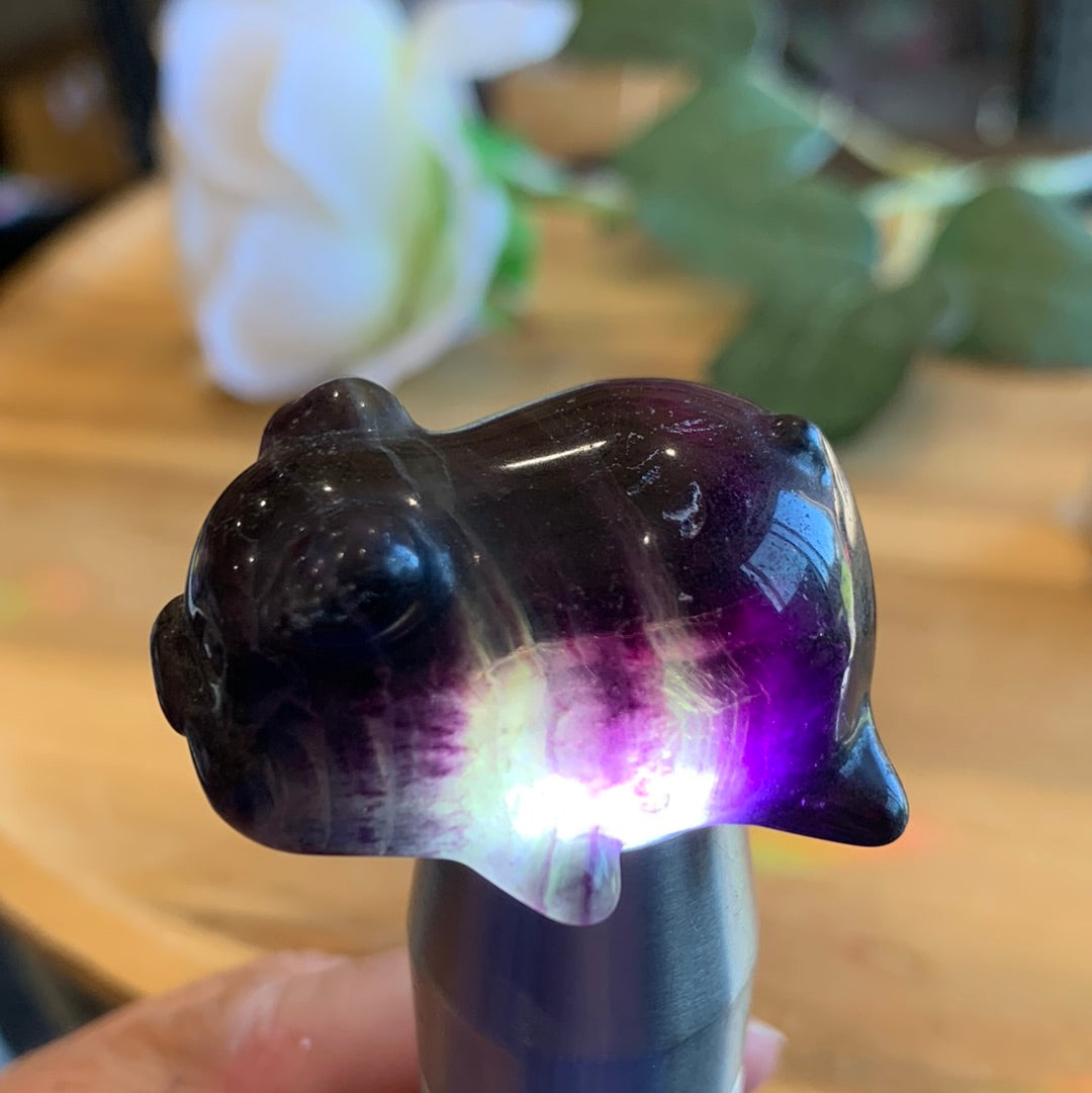 CRYSTAL PIGS