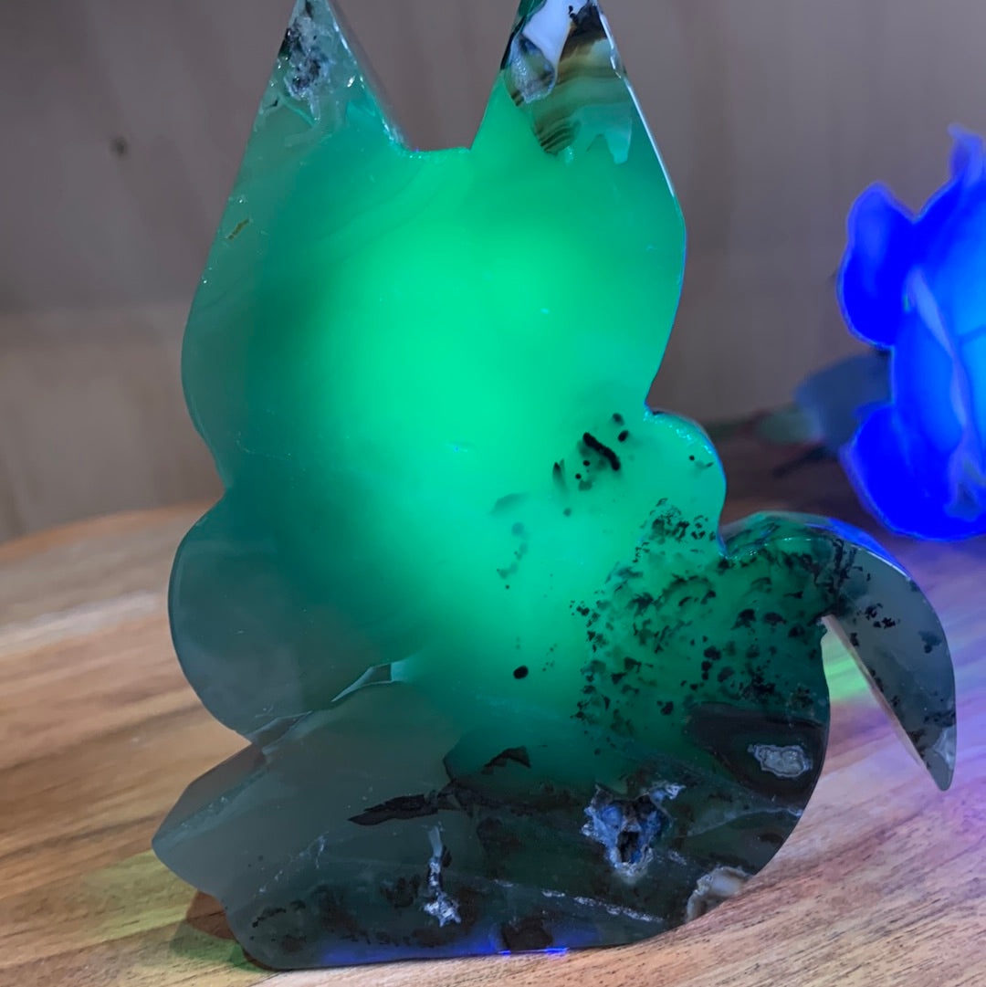 VOLCANO AGATE CATS (LARGE)
