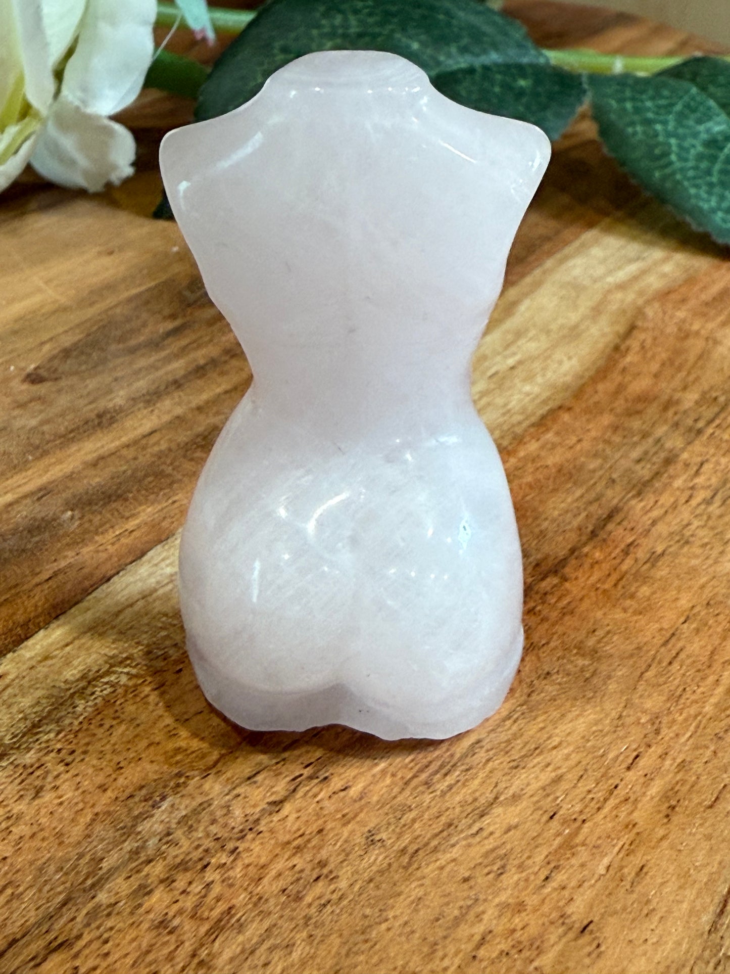 LADY BODIES (MEDIUM)