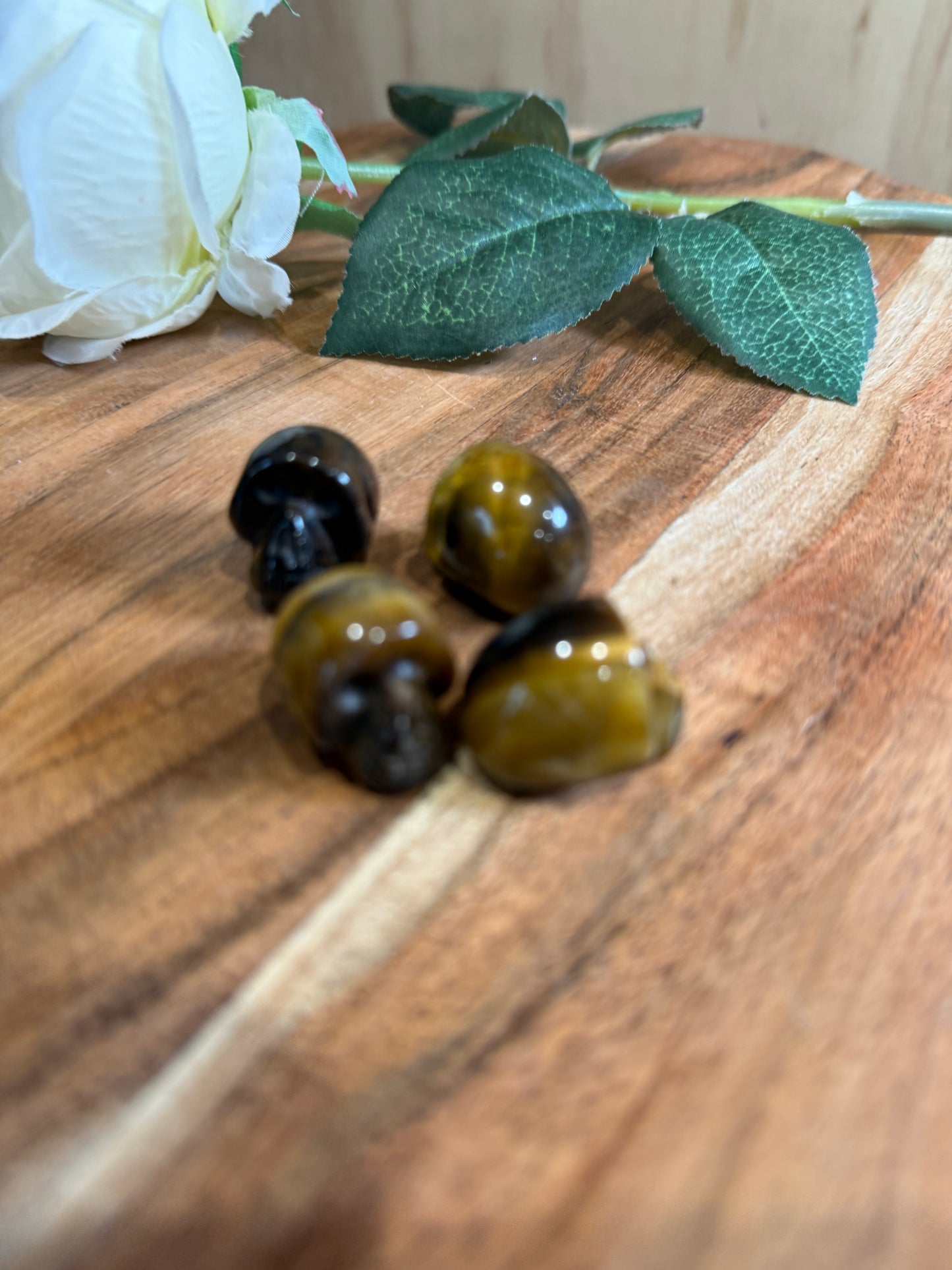 MINI SKULLS