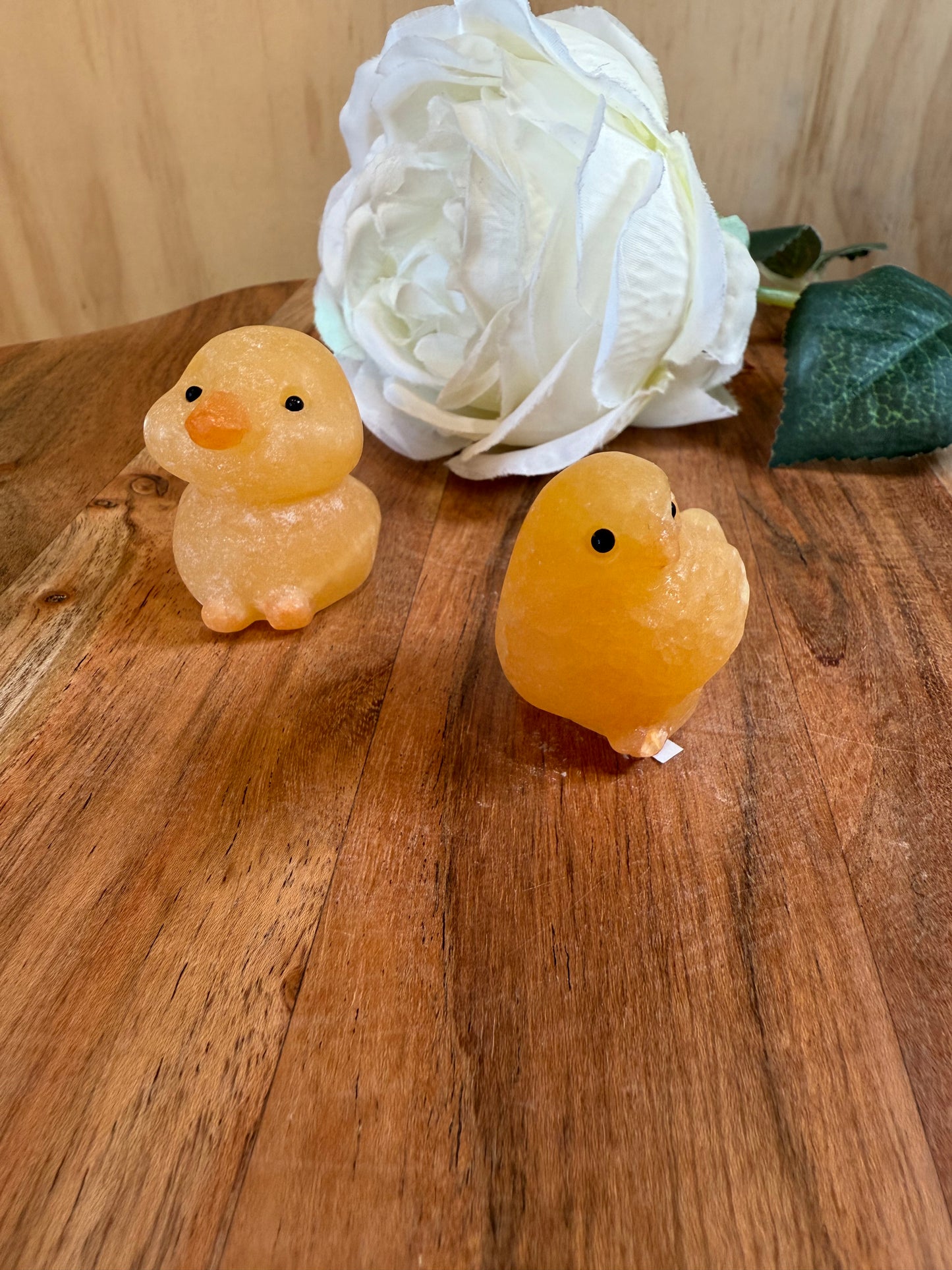 ORANGE CALCITE CHICKEN & DUCK