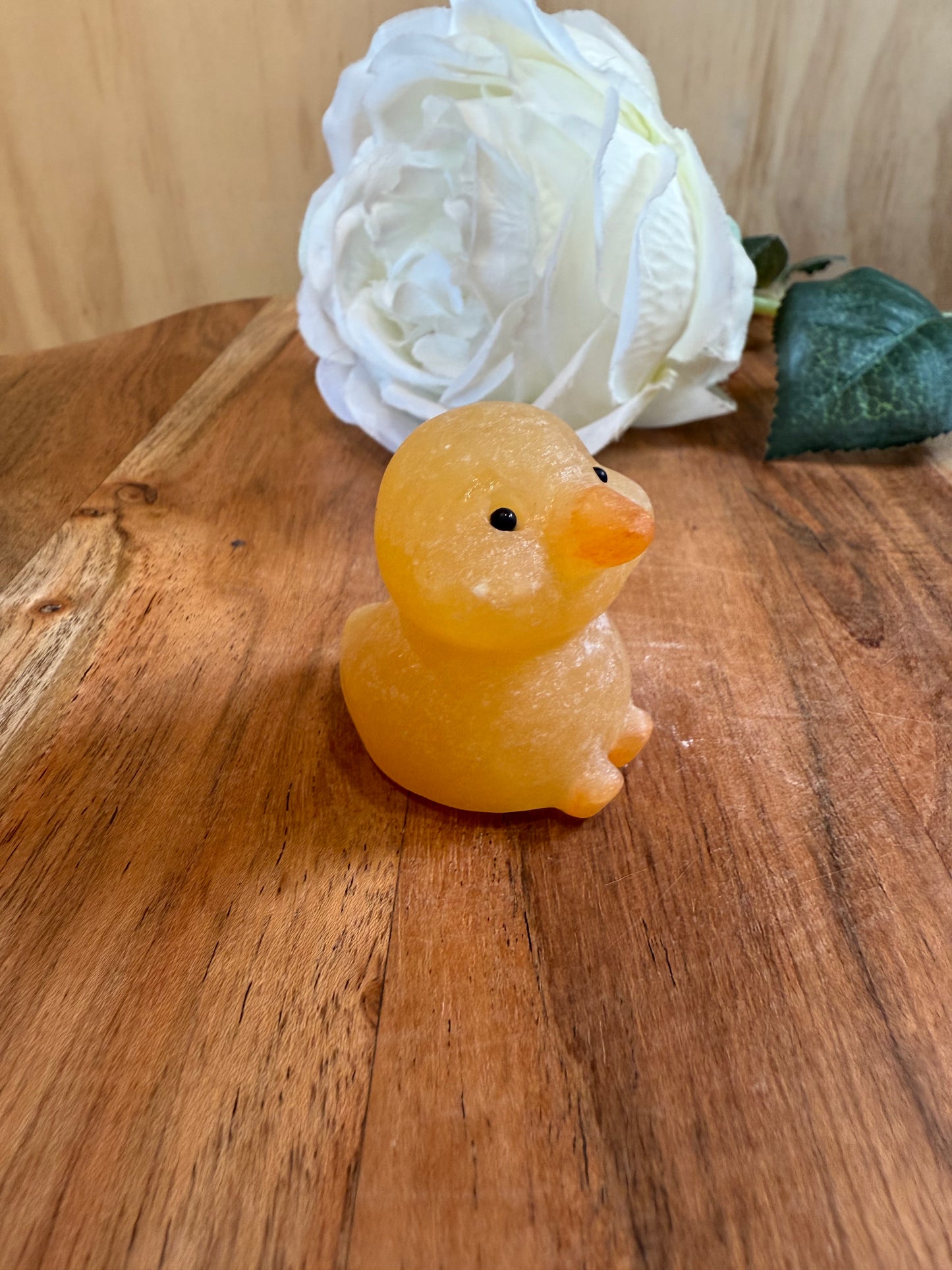 ORANGE CALCITE CHICKEN & DUCK