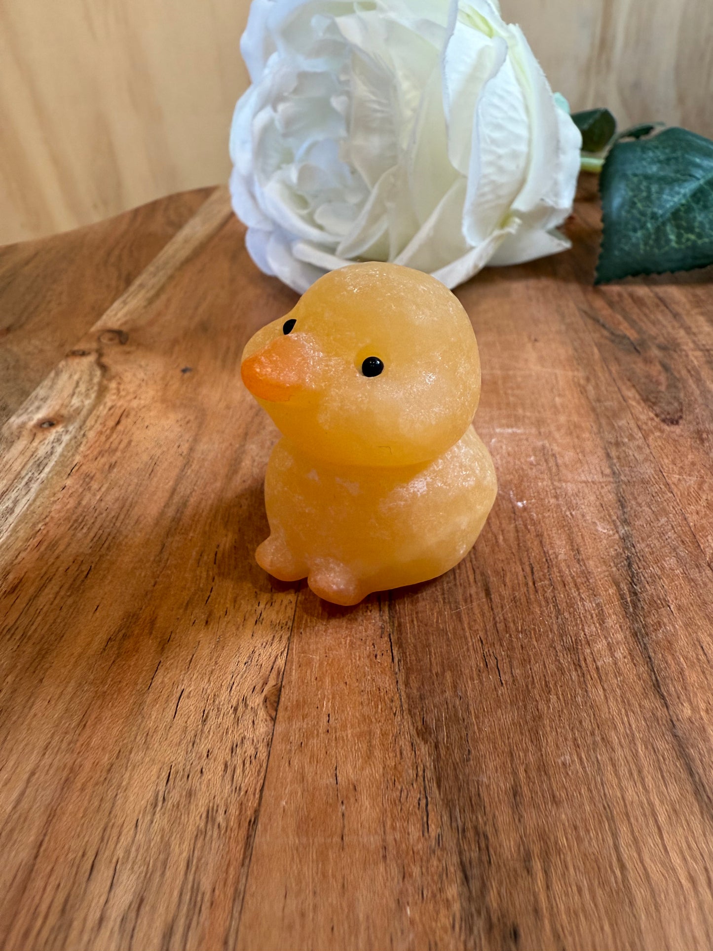 ORANGE CALCITE CHICKEN & DUCK