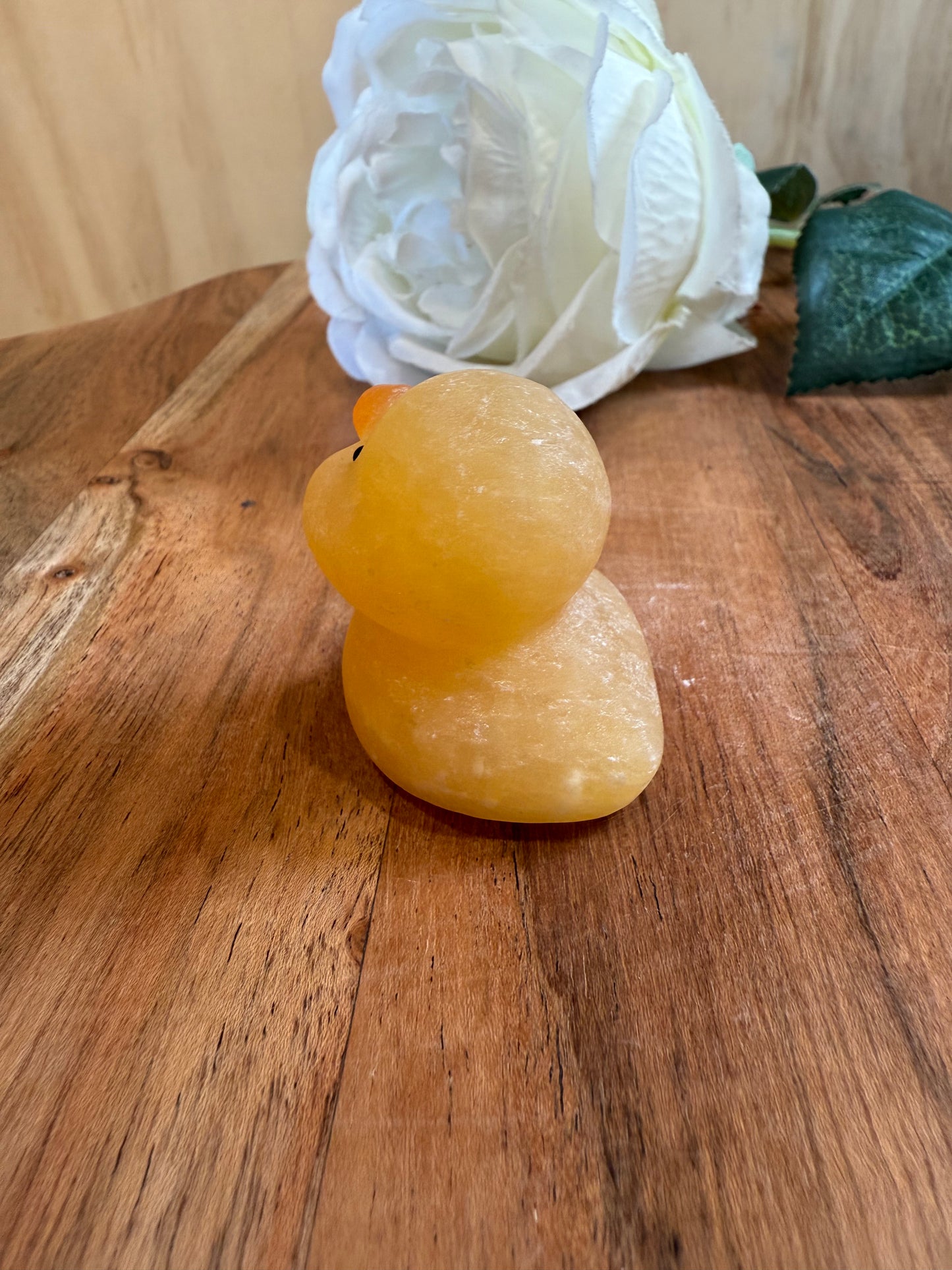ORANGE CALCITE CHICKEN & DUCK