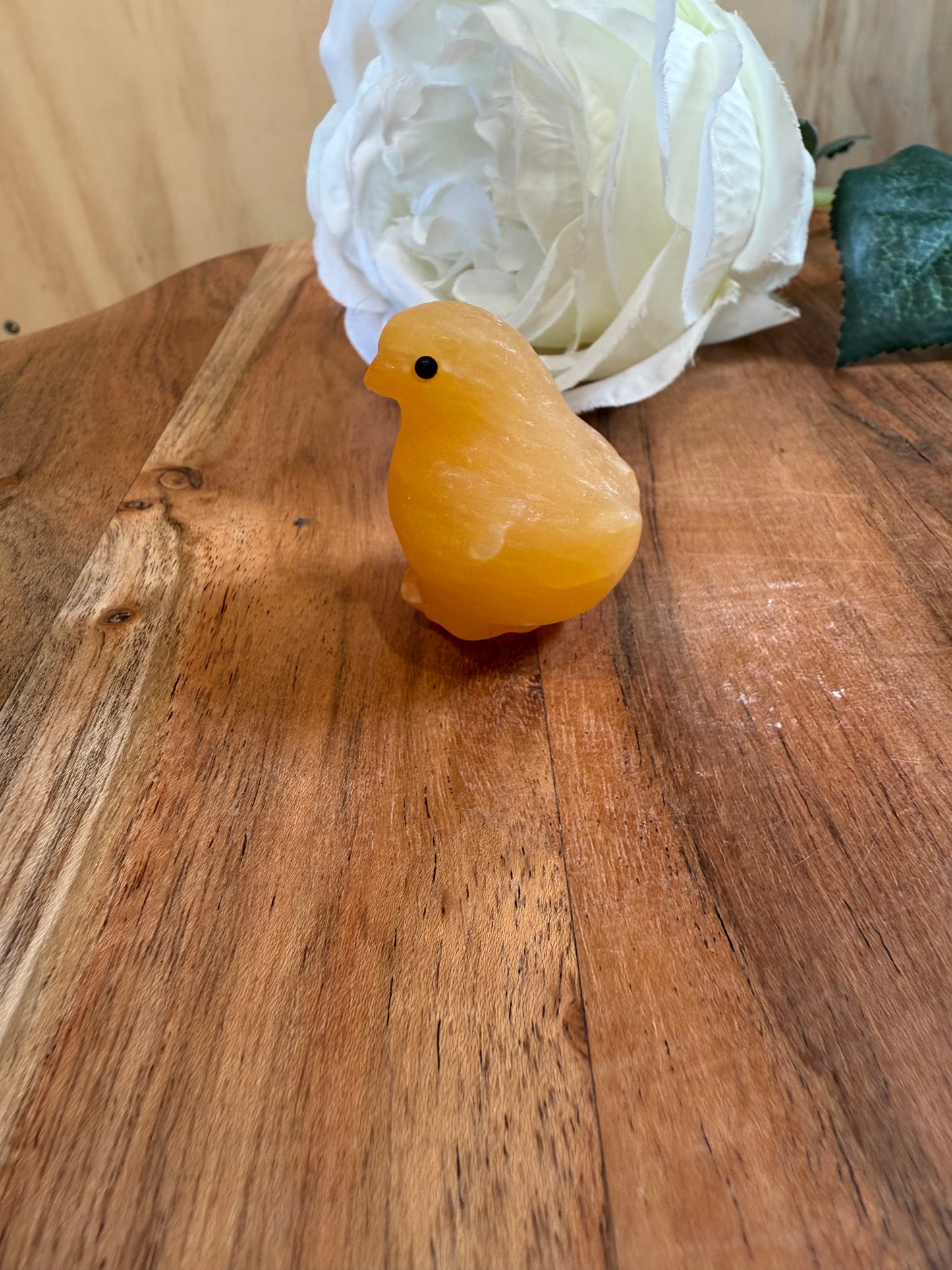 ORANGE CALCITE CHICKEN & DUCK