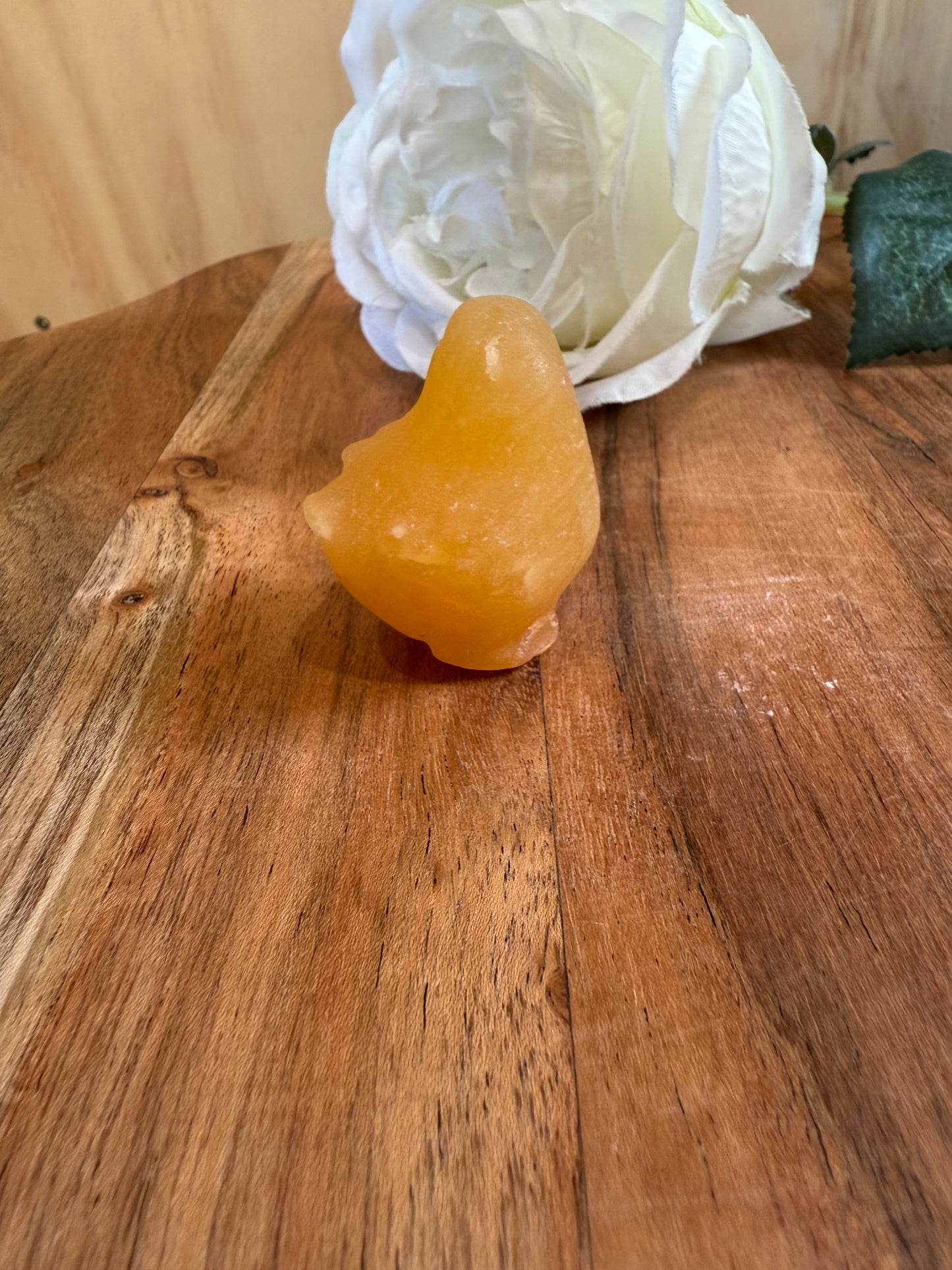ORANGE CALCITE CHICKEN & DUCK