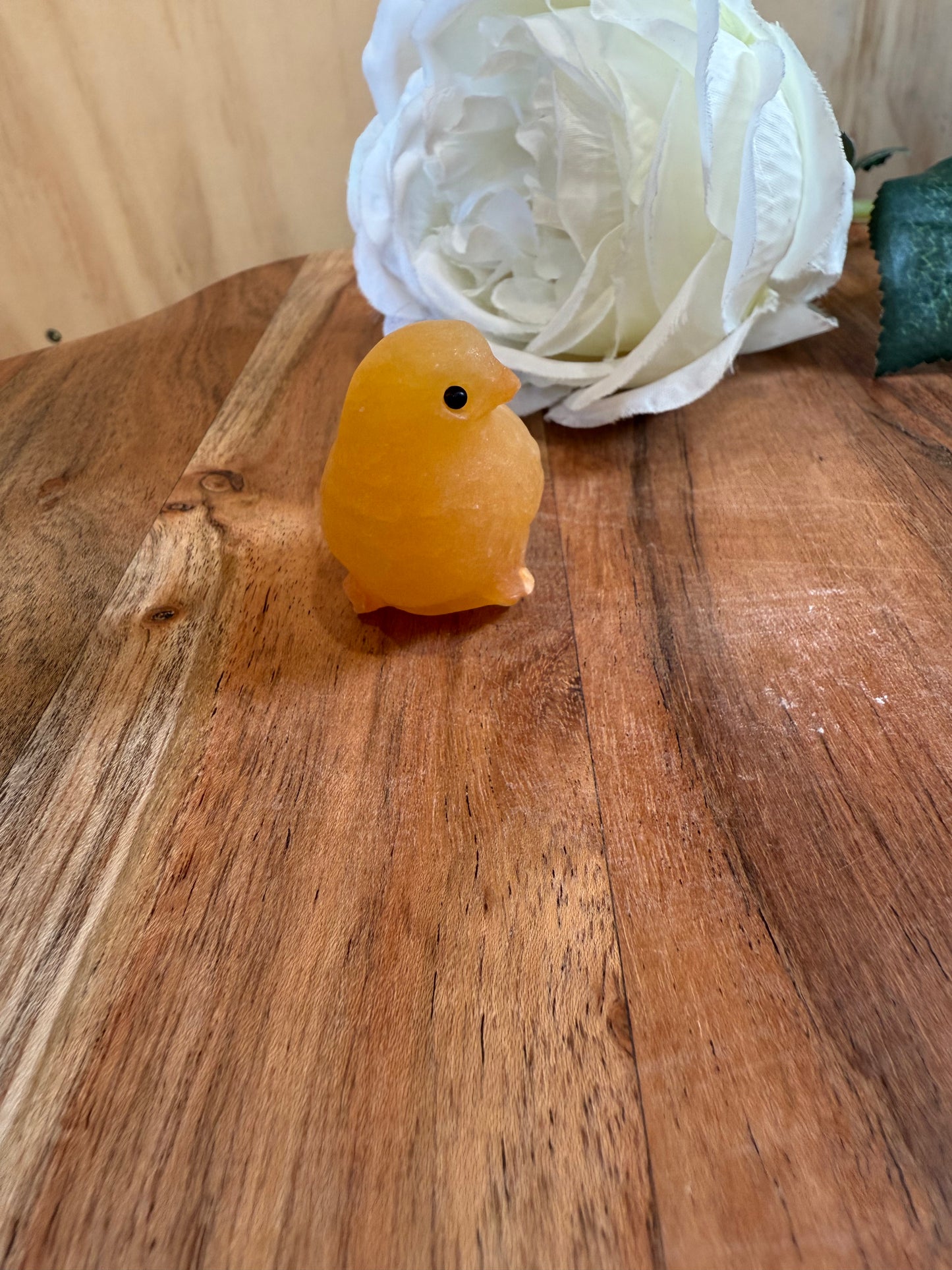 ORANGE CALCITE CHICKEN & DUCK