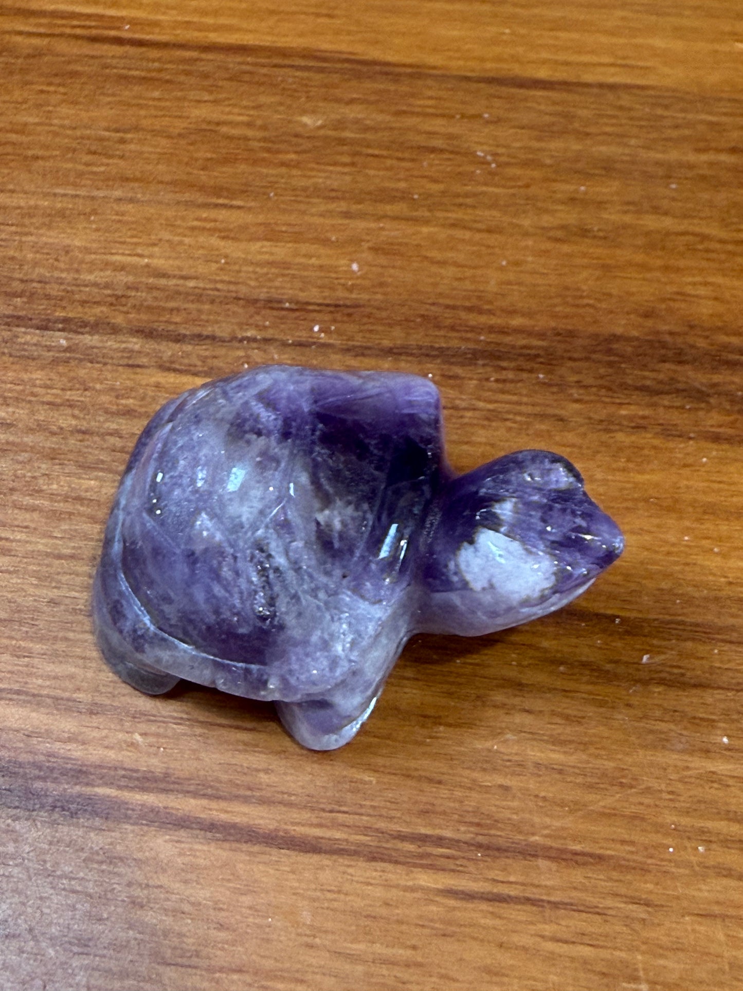 AMETHYST TURTLE