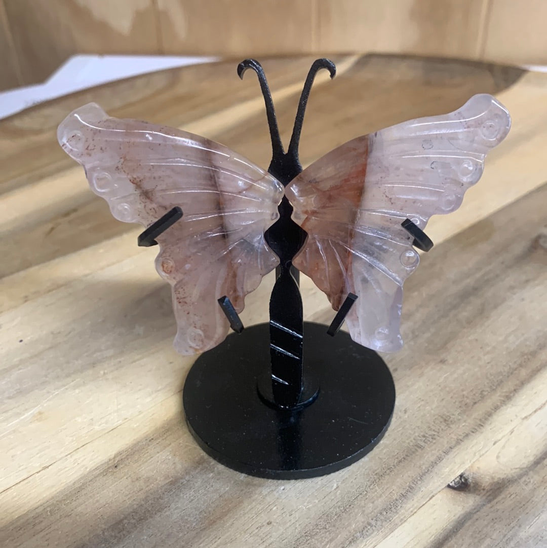 GORGEOUS BUTTERFLY WINGS ON A STAND