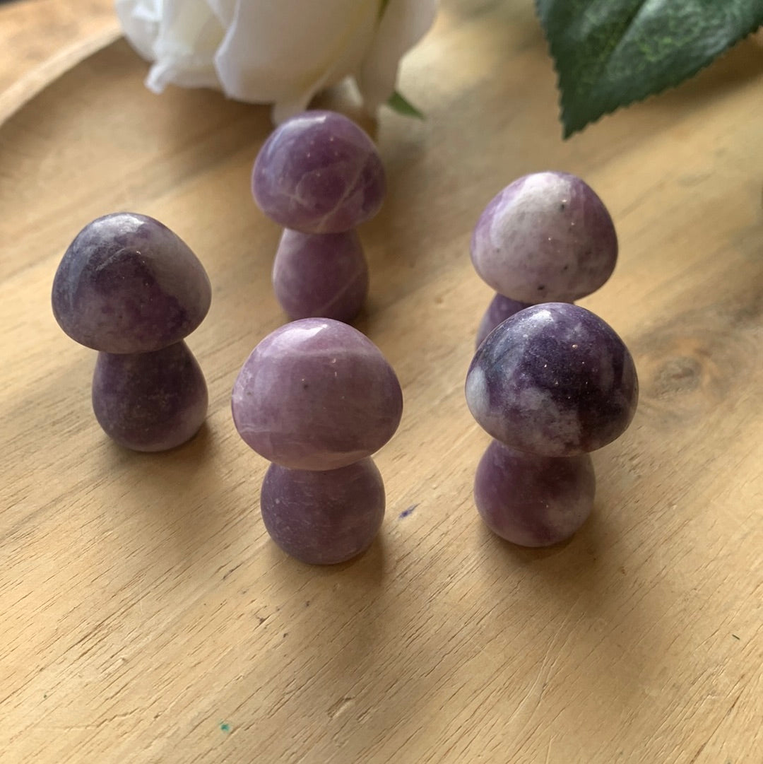 MUSHROOMS (SMALL)