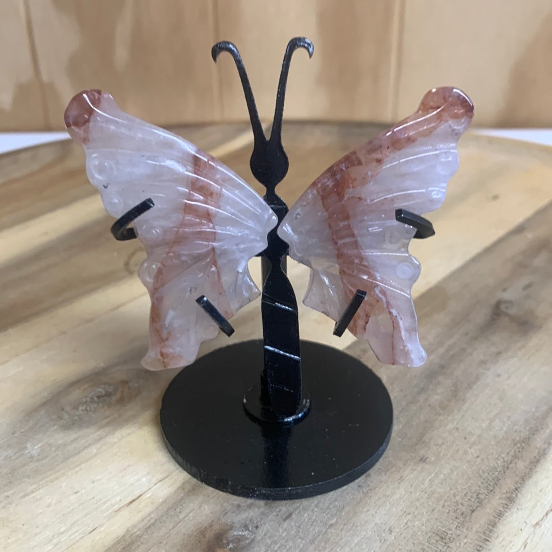 GORGEOUS BUTTERFLY WINGS ON A STAND