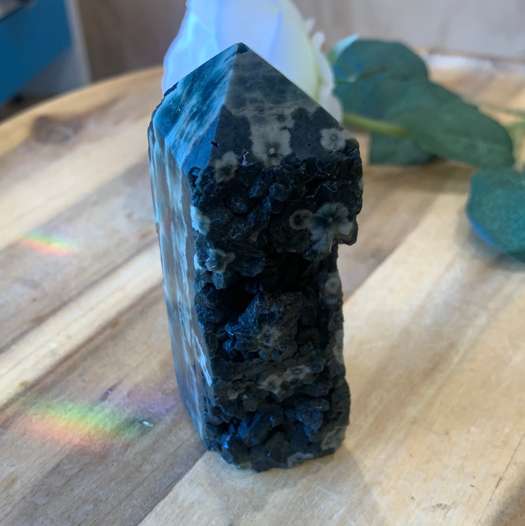 BLACK OCEAN JASPER POINTS (SPECIAL ONES)