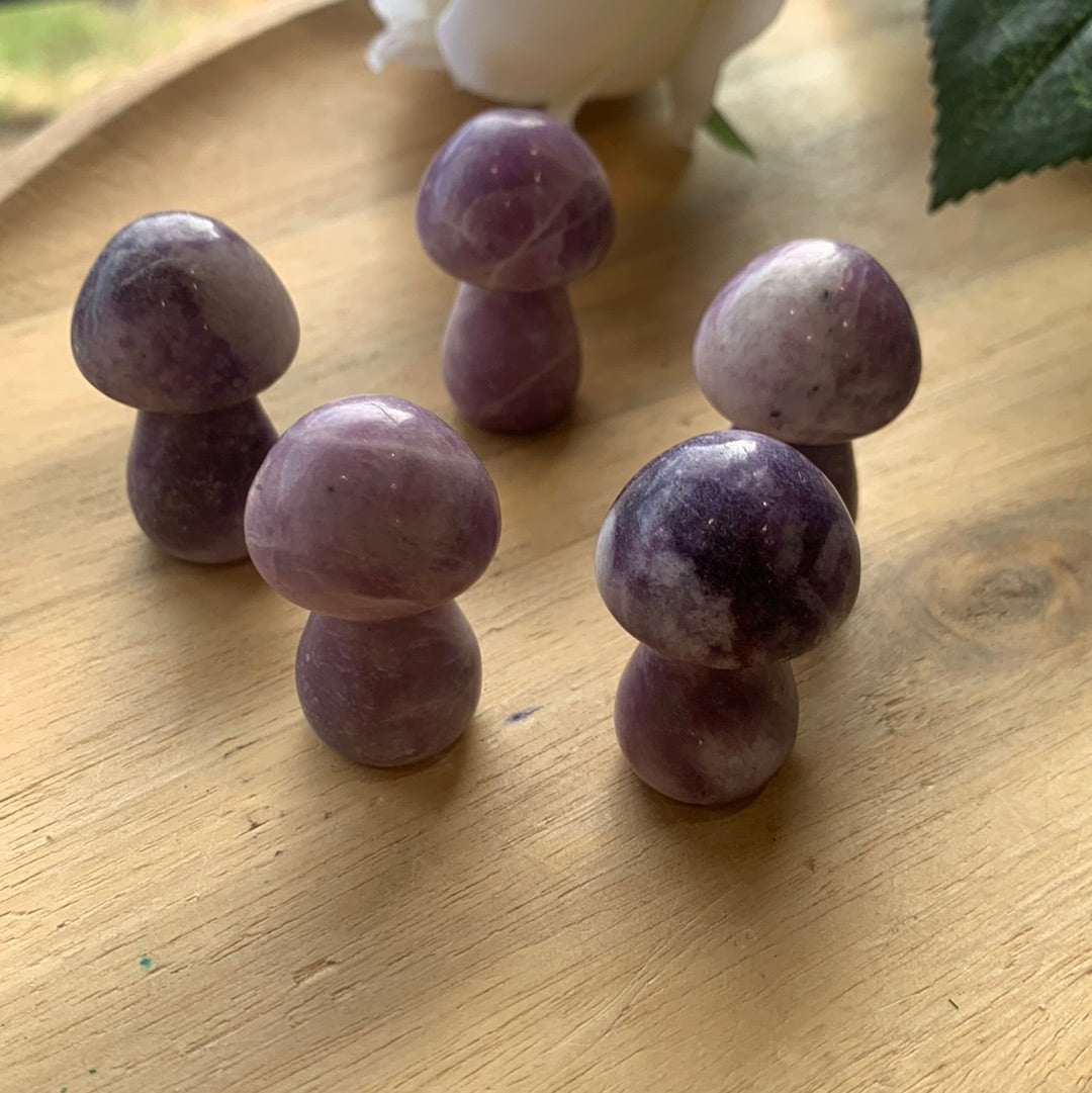 MUSHROOMS (SMALL)