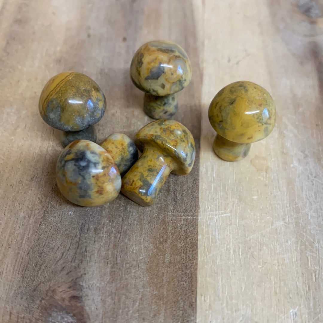 MINI MUSHROOMS