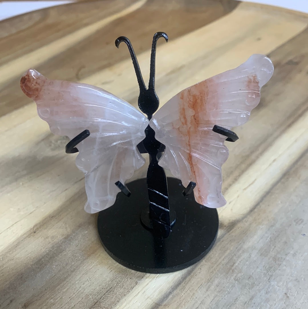 GORGEOUS BUTTERFLY WINGS ON A STAND