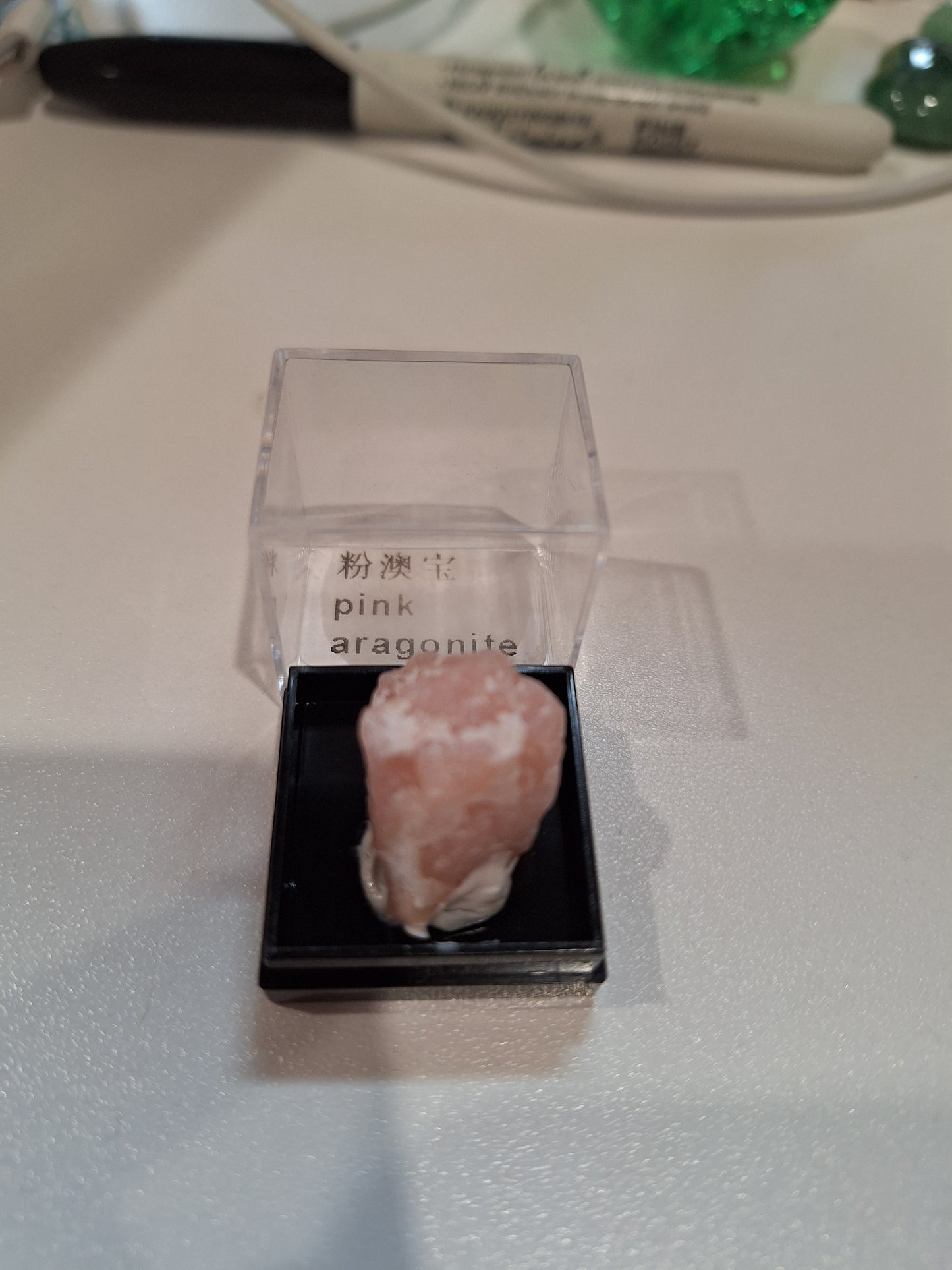 DISPLAY BOX SPECIMENS (SMALL)