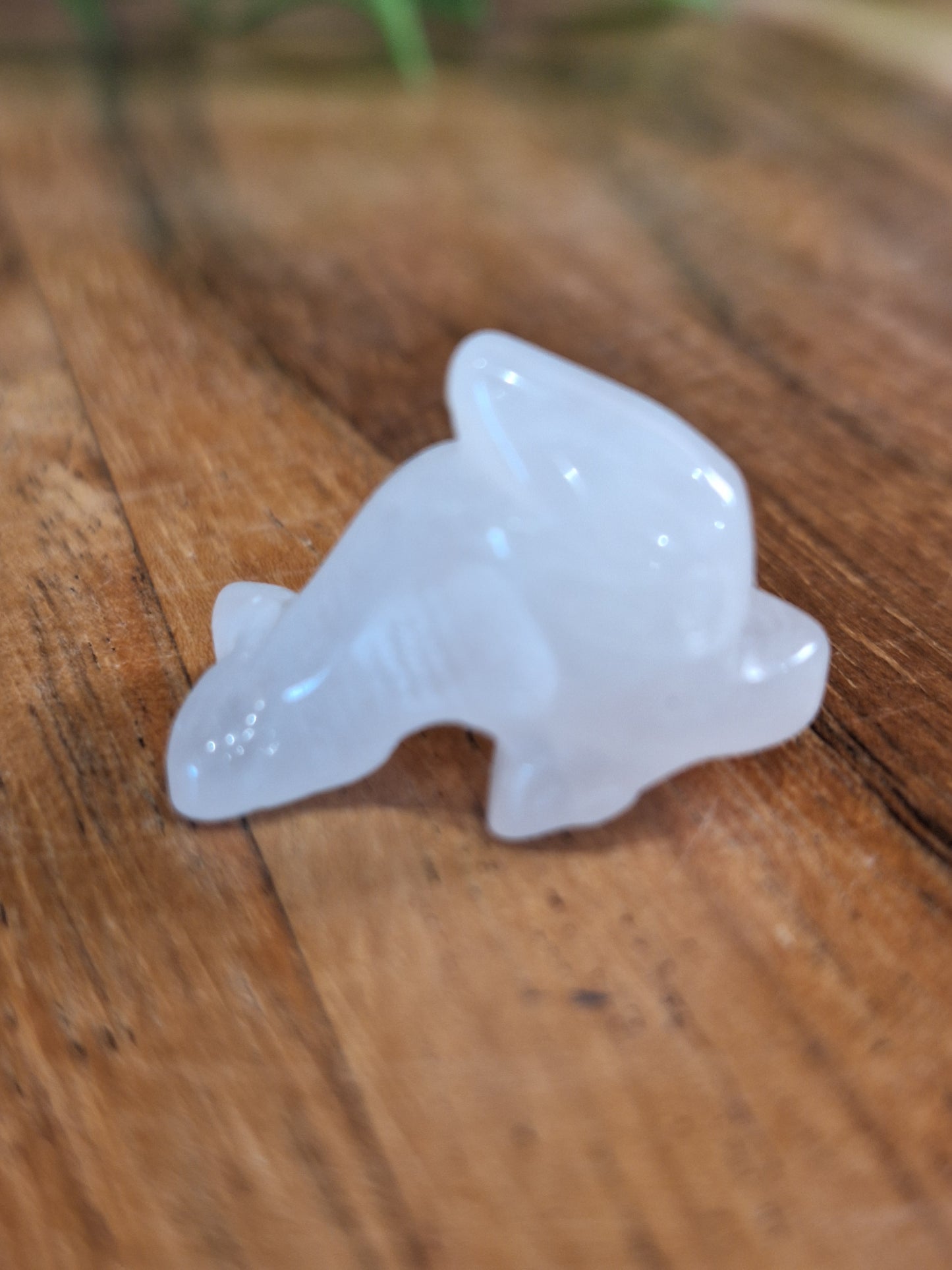 CRYSTAL DOLPHINS (MINI & SMALL)