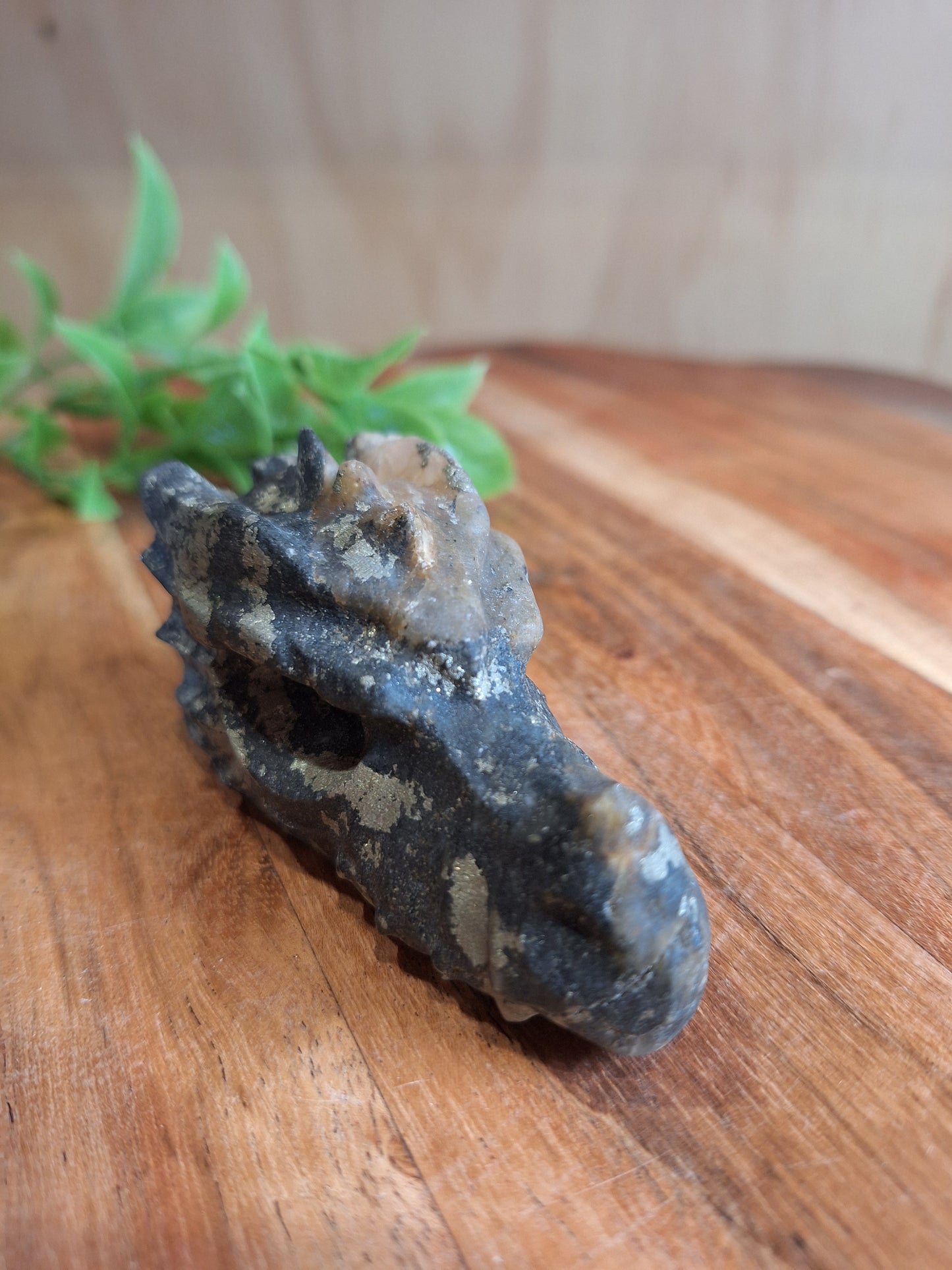 PYRITE DRAGONHEAD