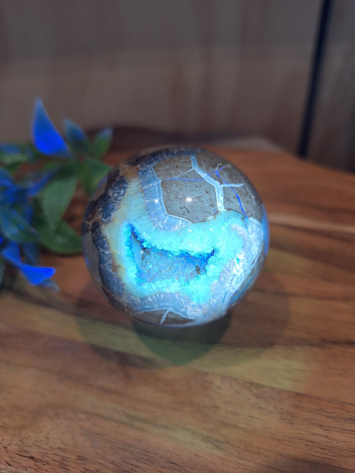 SEPTARIAN SPHERES